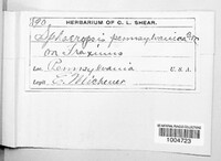 Image Associated With the Occurence